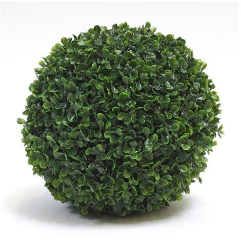 Plante Boule de buisson de 40 cm sur pots