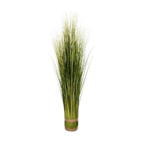 Plante herbes sauvages 1 m