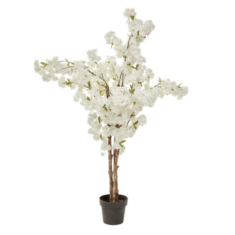 Arbuste Cerisier blanc décoratif 1 m 50